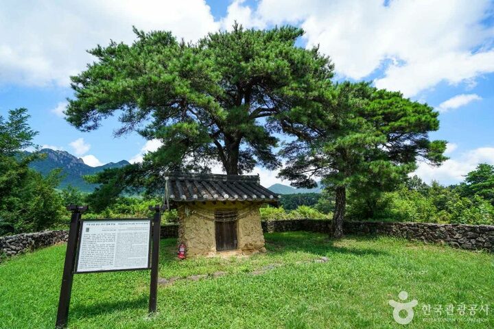 거창 당동 당집 (6)
