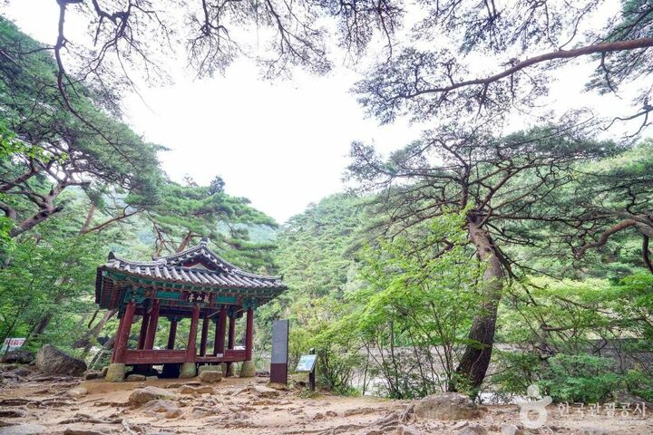 농산정 (6)