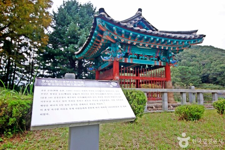 김정선생묘소일원 (4)