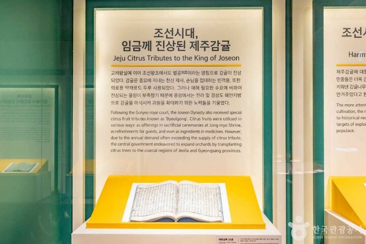 서귀포_감귤박물관 (5)