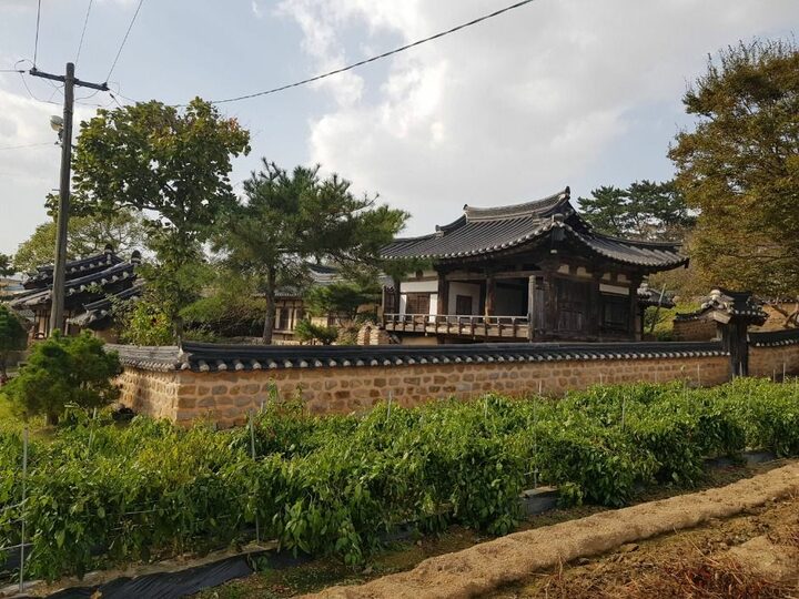 영덕_영덕 무안박씨 무의공파 종택 (2)