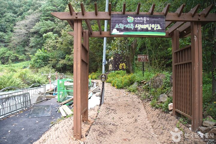 삼척초당굴 (11)
