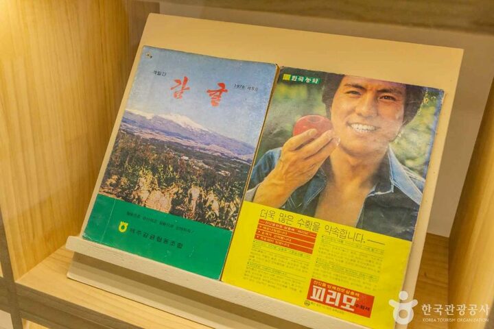 서귀포_감귤박물관 (7)