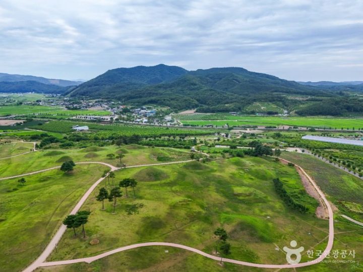 의성_의성 금성산 고분군 (1)