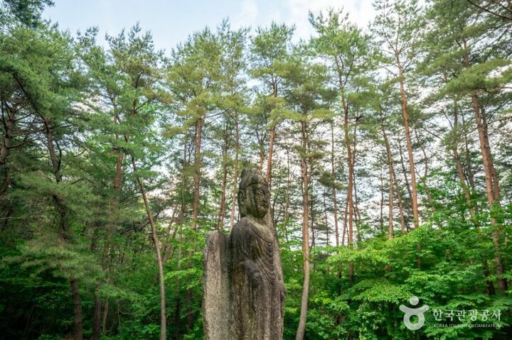 거창_거창 농산리 석조여래입상 (4)