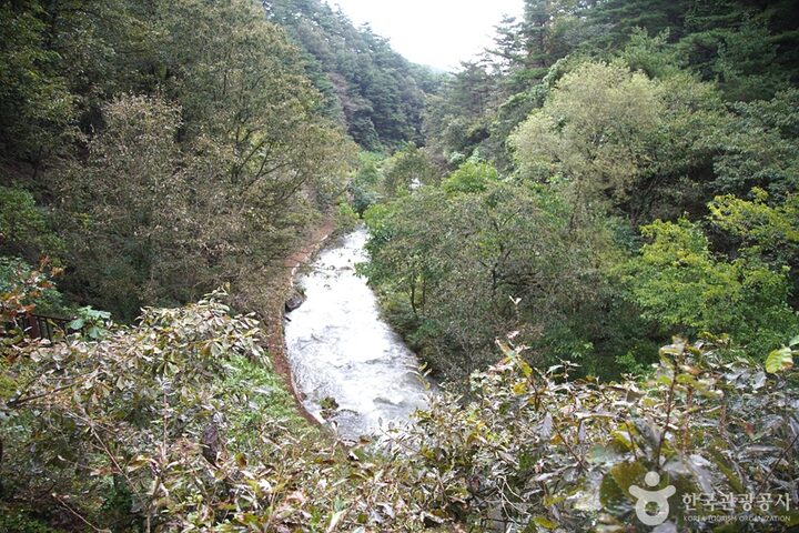 삼척초당굴 (12)