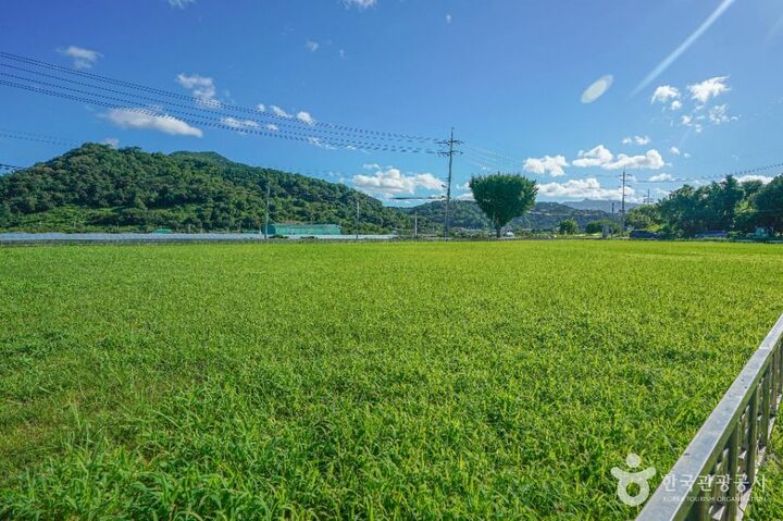 김해_김해 예안리 고분군 (3)