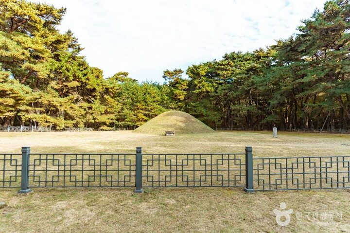 경주_경주 경애왕릉 (5)