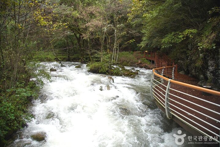 삼척초당굴 (13)