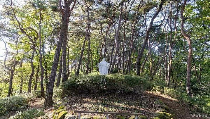원주_용소막성당 (7)