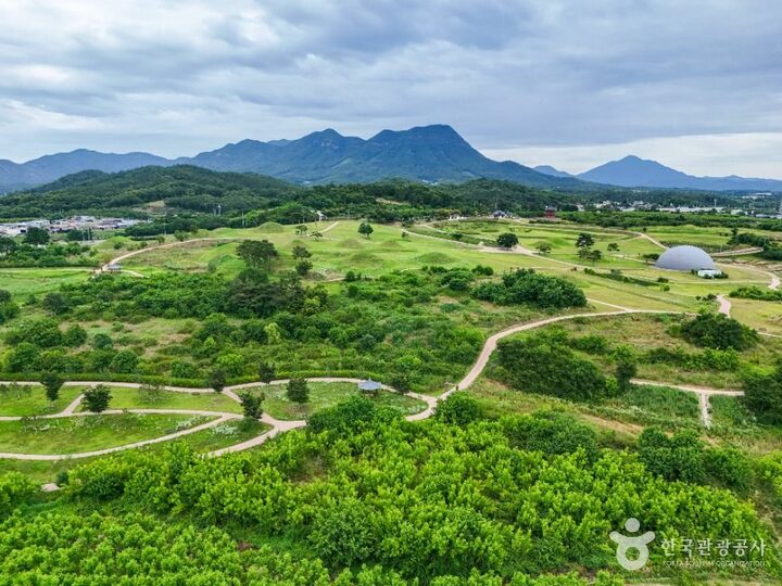 의성_의성 금성산 고분군 (3)