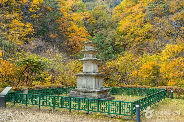 양양_양양 오색리 삼층석탑 (2)