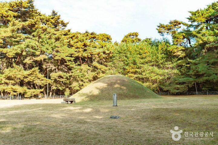 경주_경주 경애왕릉 (4)