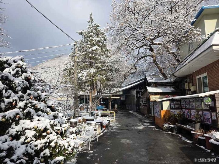 산골농원