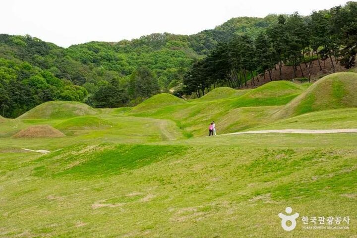 경북_성주_성산동 고분군_외부_6.jpg