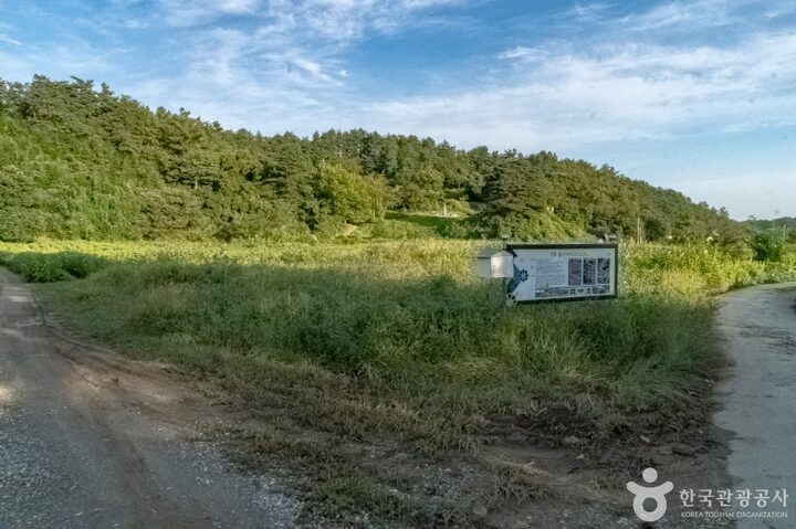 강릉 굴산사지 (20)