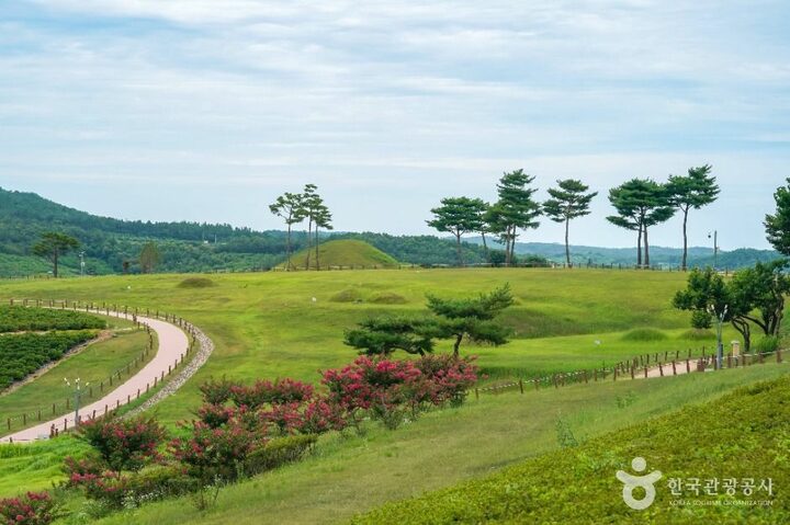 의성_의성 금성산 고분군 (5)