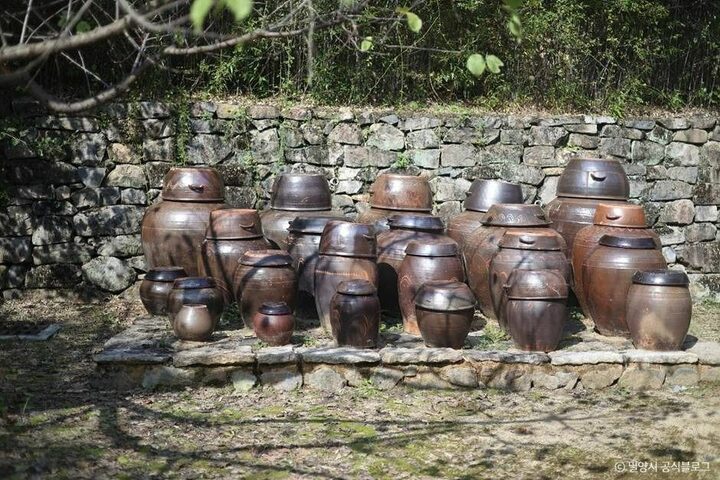밀양_사명대사 생가지 (5)