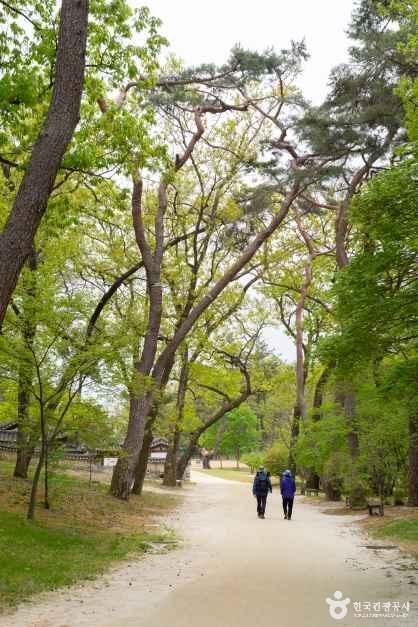 경기_여주_여주 영릉과 영릉_외부_7.jpg