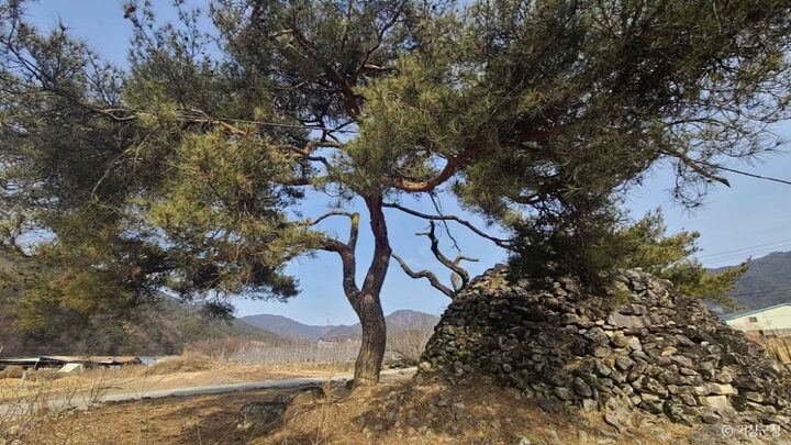 경남_거창_거창 거기리 성황단 (3)