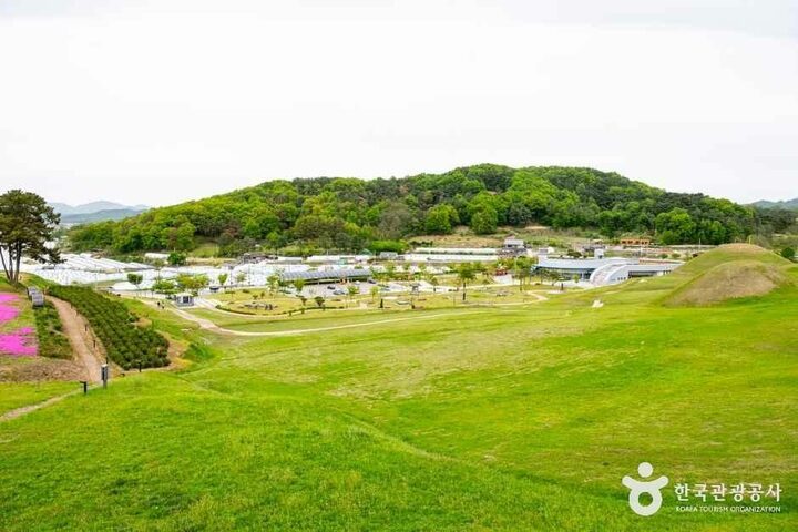 경북_성주_성산동 고분군_외부_7.jpg