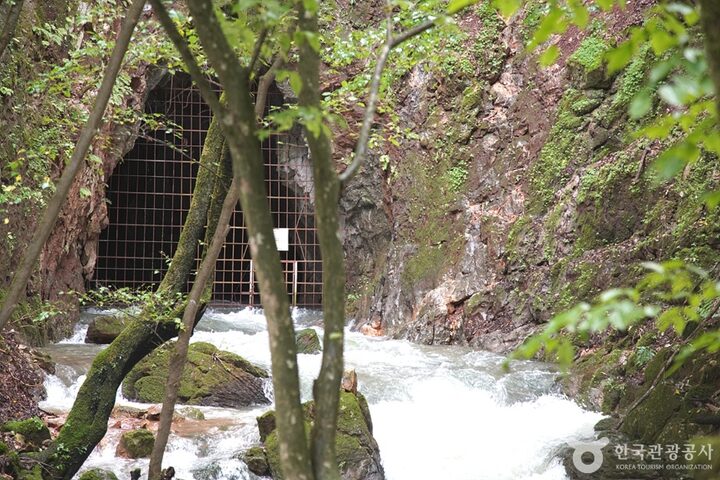 삼척초당굴 (17)