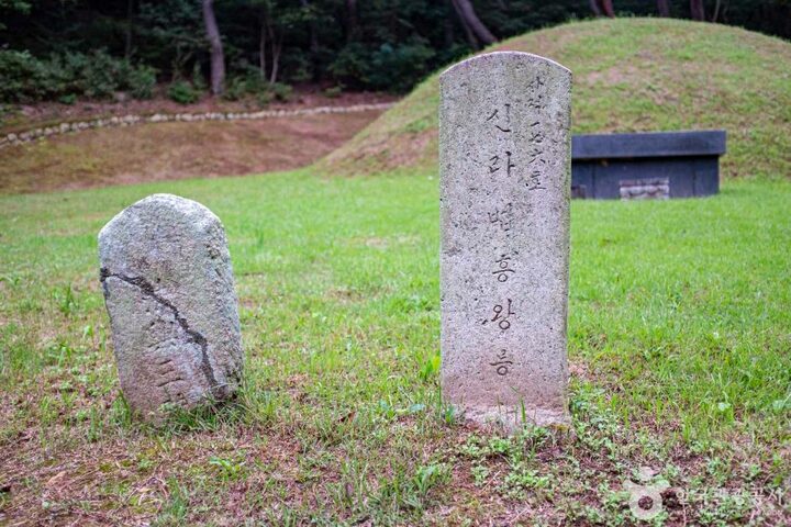 경주_경주 법흥왕릉 (3)