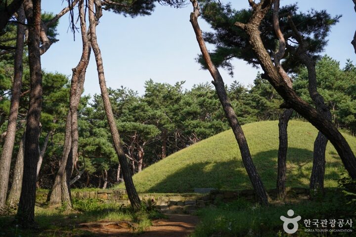 경북_경주_경주 선덕여왕릉 (6)