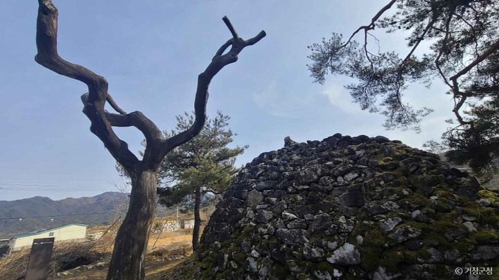 경남_거창_거창 거기리 성황단 (5)