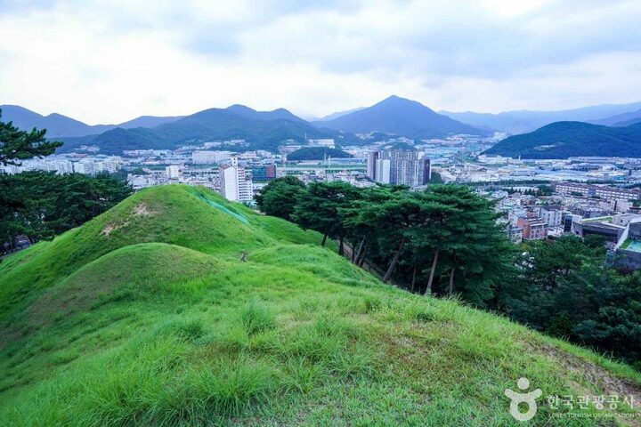 양산 북정리 고분군 (6)