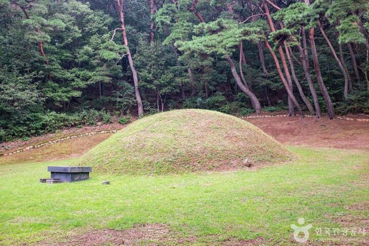 경주_경주 법흥왕릉 (4)