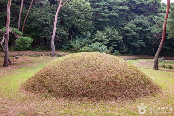 경주_경주 법흥왕릉 (5)
