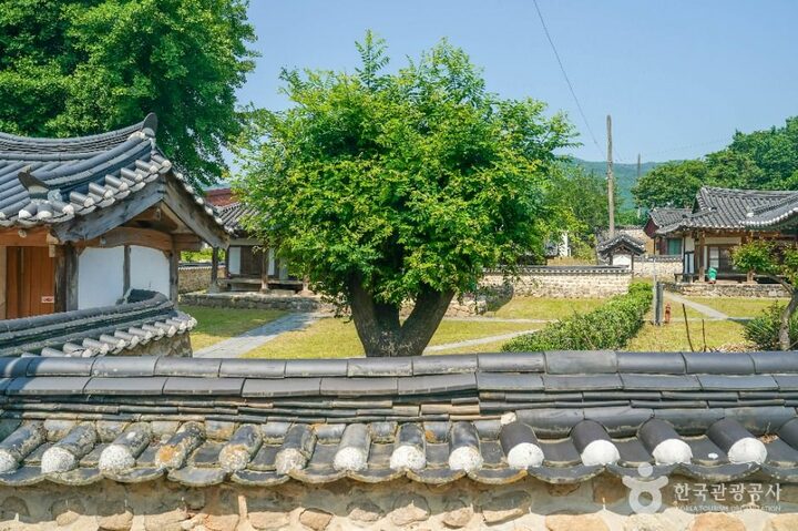 거창_거창 포충사 (2)