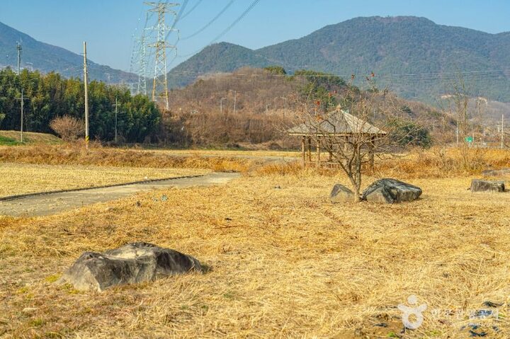 산청_산청특리지석묘군 (2)