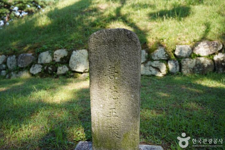 경북_경주_경주 선덕여왕릉 (8)
