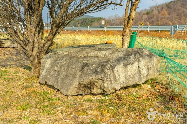산청_산청특리지석묘군 (3)