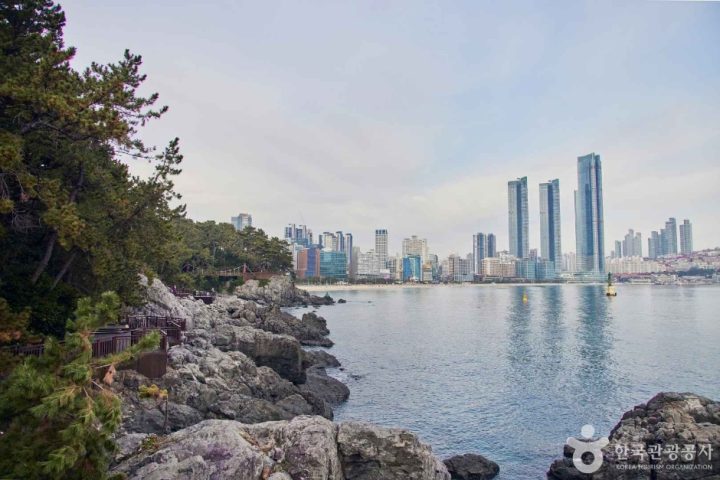 부산 해운대 동백섬 (1)