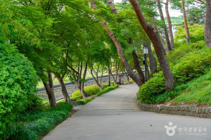 강릉_강릉 경포대 (3)