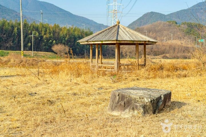 산청_산청특리지석묘군 (5)