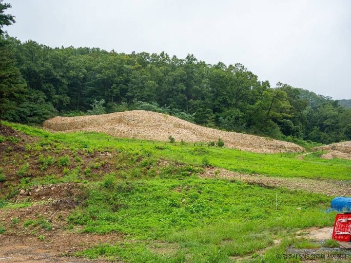 경주_경주 명활성 (2)
