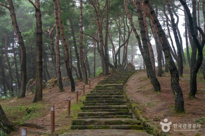 성주_성주 세종대왕자 태실 (2)