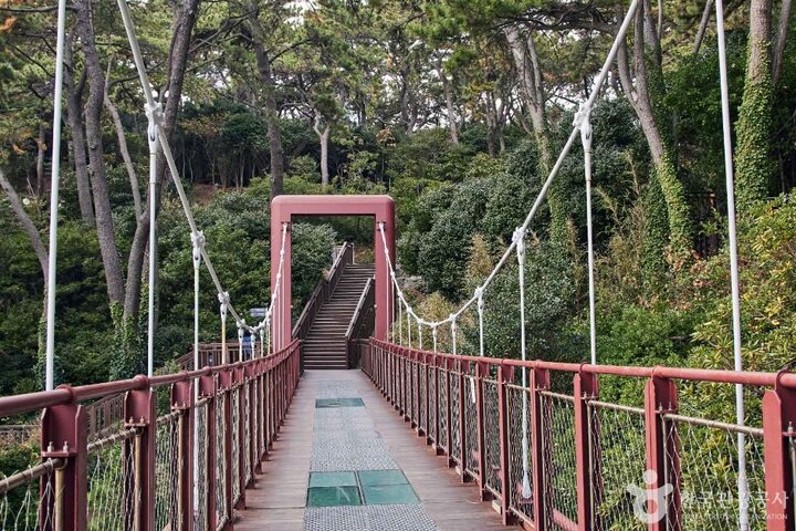 부산 해운대 동백섬 (3)