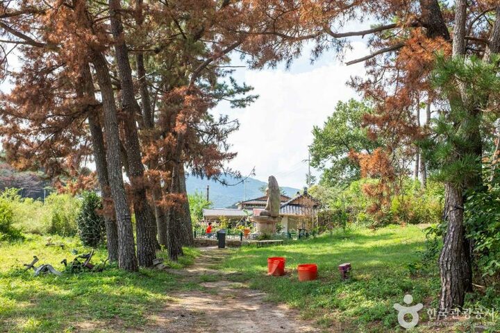 경주_영지석불좌상 (3)
