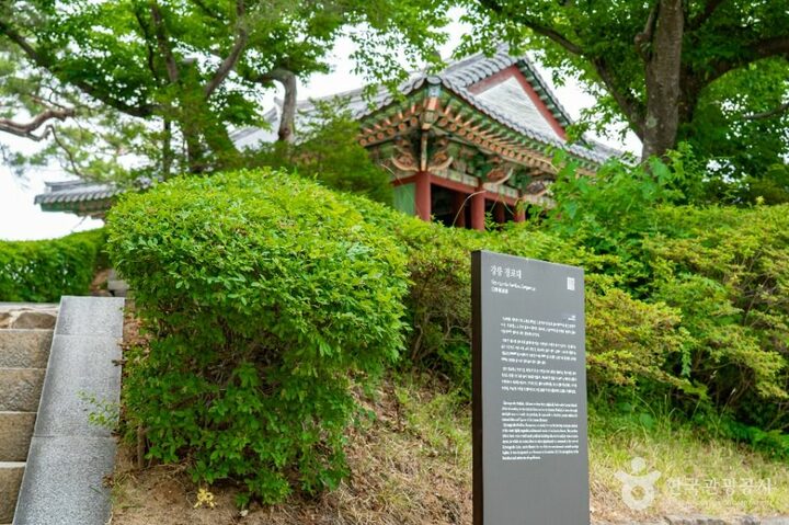 강릉_강릉 경포대 (5)