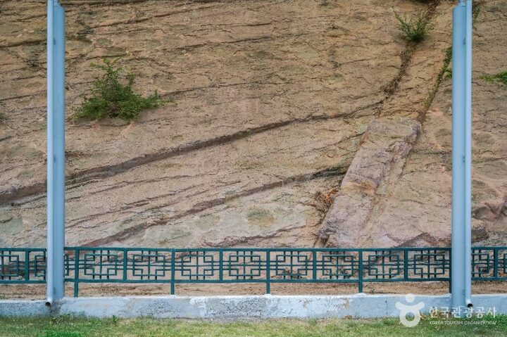 의성_의성 제오리 공룡발자국화석 산지 (4)