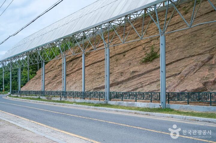 의성_의성 제오리 공룡발자국화석 산지 (5)