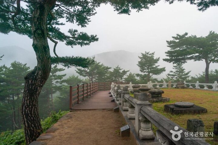 성주_성주 세종대왕자 태실 (4)