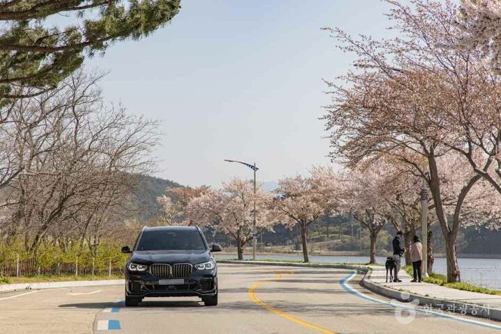 강원_고성_화진포_외부_1.jpg