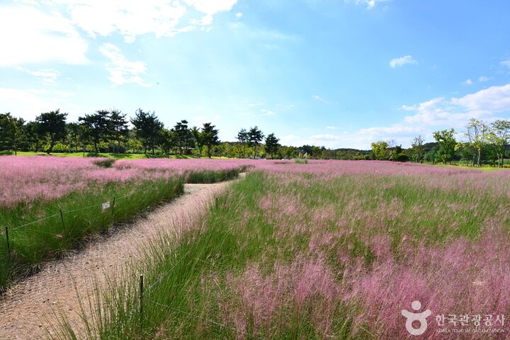전남_나주_국립나주박물관 (4)