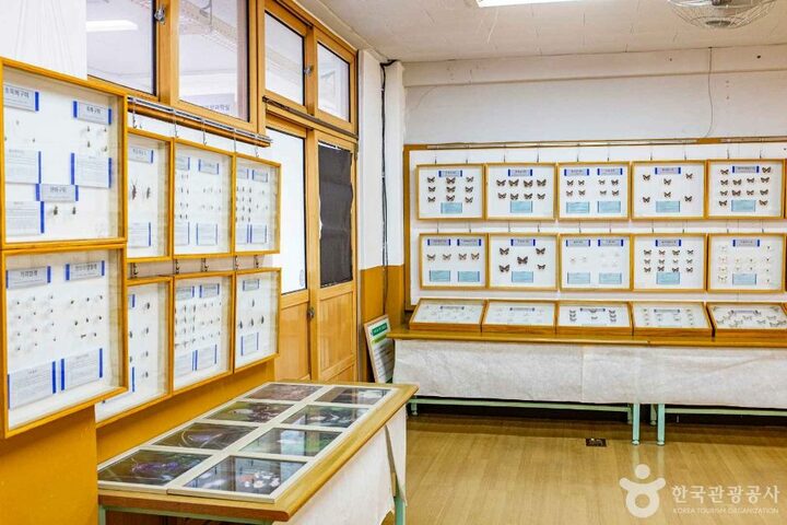의성_한국전통창조박물관 (3)